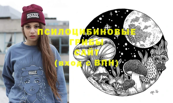 ешки Верхний Тагил