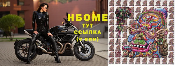 мяу мяу мука Покачи