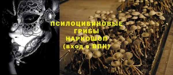 шишки Верхнеуральск