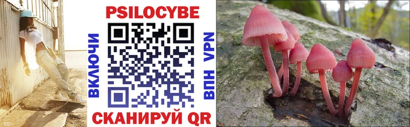 Псилоцибиновые грибы прущие грибы  blacksprut ссылка  Волоколамск 
